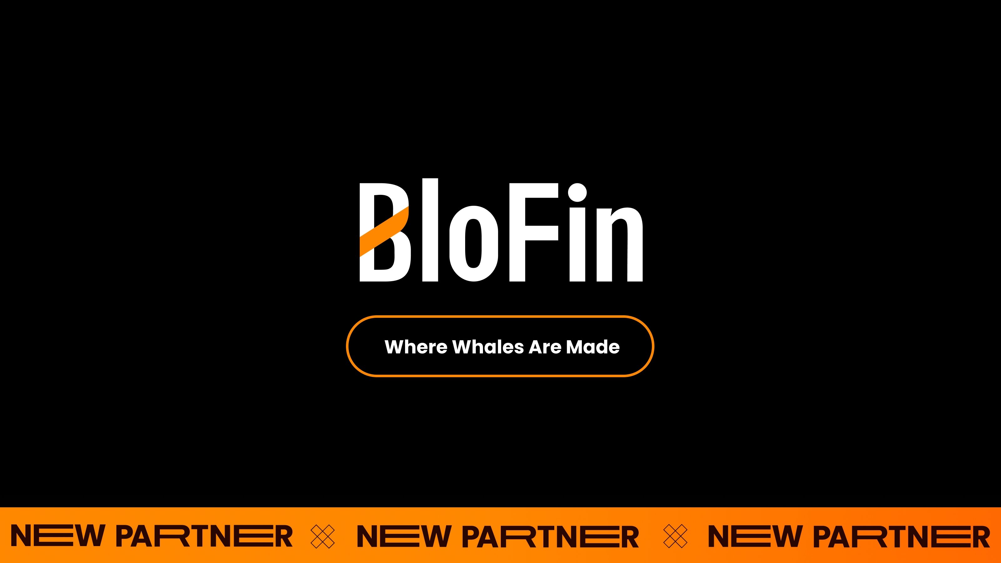 Blofin login